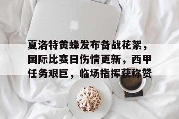 金年会-包含夏洛特黄蜂发布备战花絮，国际比赛日伤情更新，西甲任务艰巨，临场指挥获称赞的词条